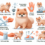 Pomeranian Joint Pain: Causes, Symptoms, Prevention, and Treatment
