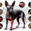 Xoloitzcuintli Joint Pain: Causes, Symptoms, Prevention, and Treatment