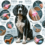 Irish Water Spaniel Joint Pain: Causes, Symptoms, Prevention, and Treatment