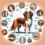 Nederlandse Kooikerhondje Joint Pain: Causes, Symptoms, Prevention, and Treatment
