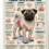Pug Joint Pain: Causes, Symptoms, Prevention, and Treatment